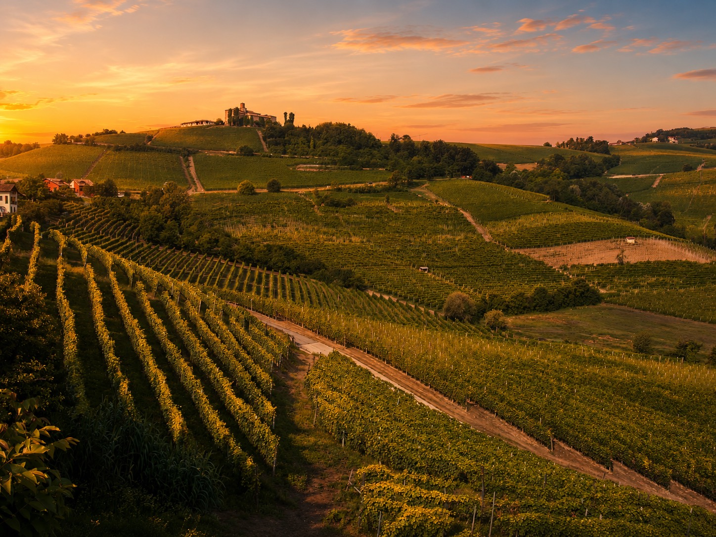 Vigneti del Monferrato al tramonto